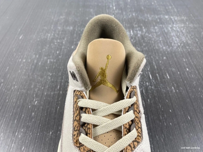 Palomino Air 3 Jordan CT8532-102 0708